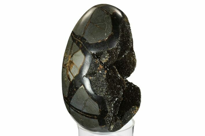 Septarian Dragon Egg Geode - Black Crystals #172816
